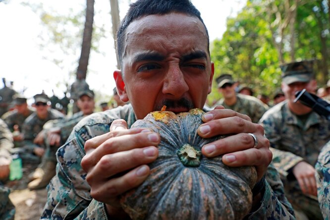 Что едят солдаты в разных армиях мира: современные ИРП еда,наука,продукты,технологии,человек