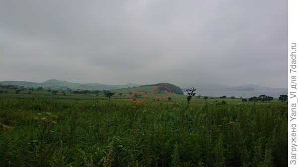 Если обернуться в другую сторону