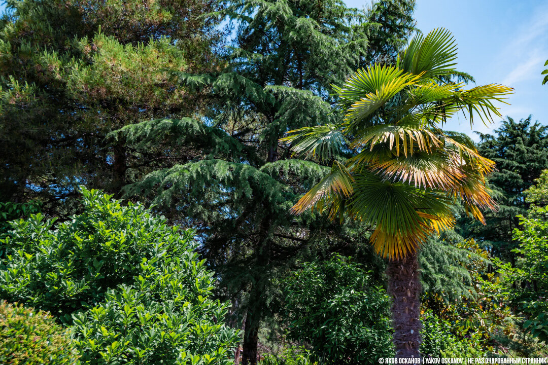 Почему я делю берег Чёрного моря на до Туапсе и после Почему я делю берег Чёрного моря на до Туапсе и после отдых,отпуск,Россия