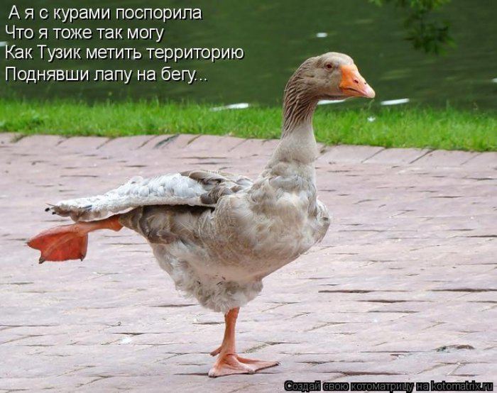 Мысли вслух :)