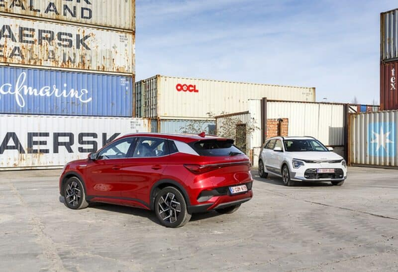 МНЕНИЕ | Кот NIO по имени Джин