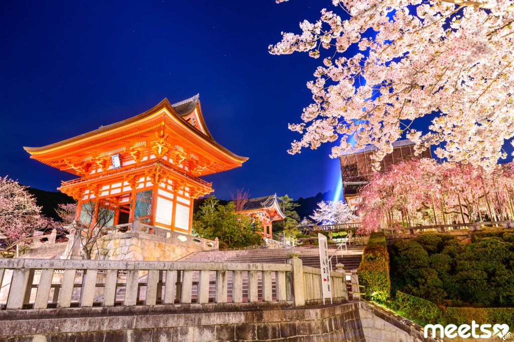 Spring Night in Kyoto