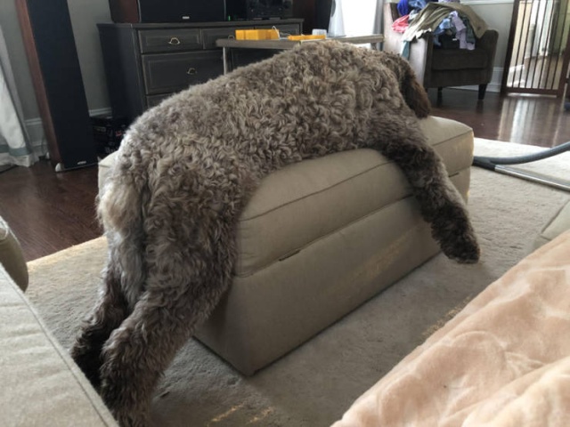 Подборка прикольных картинок Подборка прикольных картинок смешные картинки