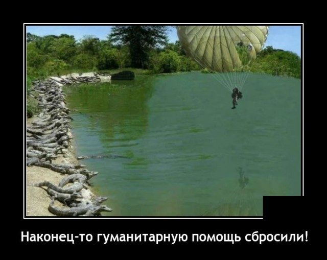 Смешные картинки в чёрной рамке для хорошего настроения! 