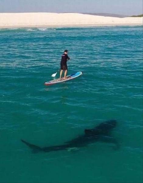 Прикольные фото приколы и веселые картинки для настроения 