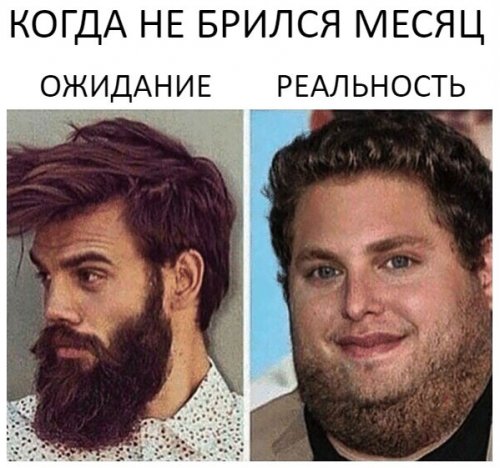 Новая коллекция фотомемов 