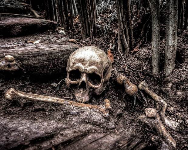 10 смертельных опасностей, подстерегающих в наших лесах в лесу, опасность, человека, можно, нужно, только, грибы, в лес, представляют, лучше, опасностей, являются, могут, которые, не только, может, поэтому, человеку, заболевания, жертв