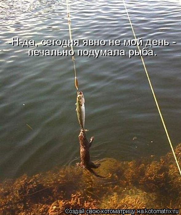 Мысли вслух :)