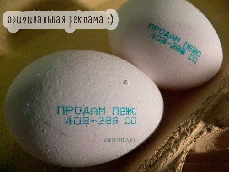Подборка смешных картинок для хорошего настроения Подборка смешных картинок для хорошего настроения