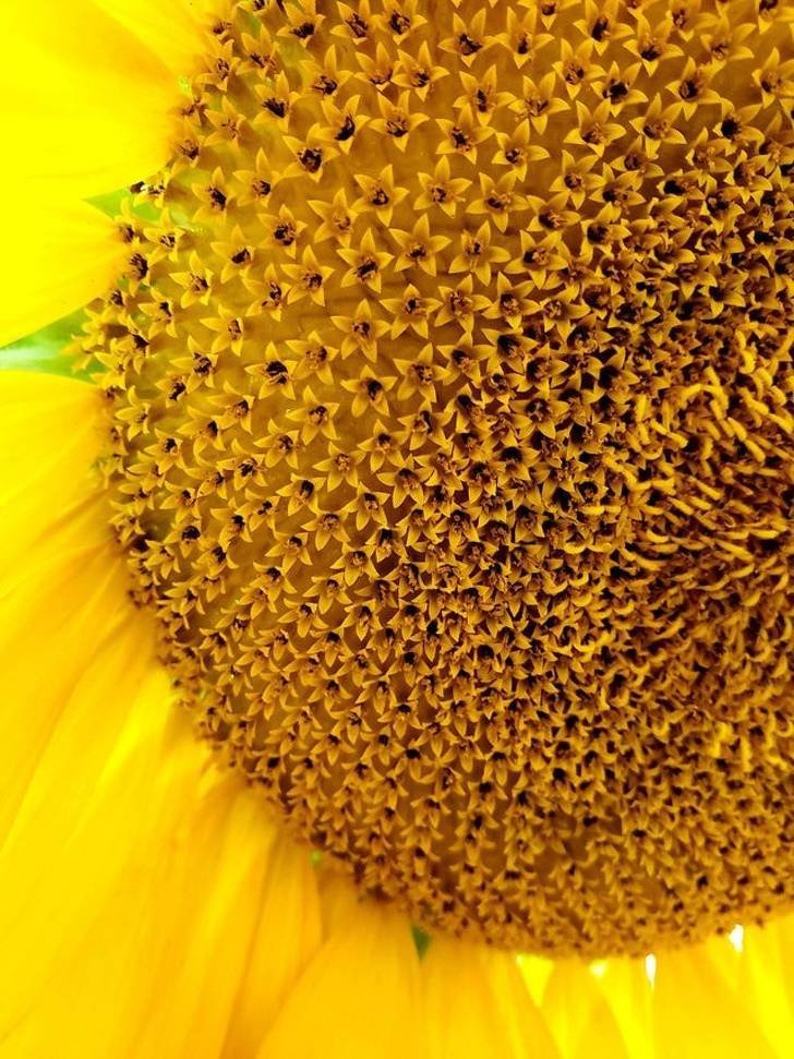 Подборка интересных фото со всего мира Подборка интересных фото со всего мира курьезы,природа,фотографии