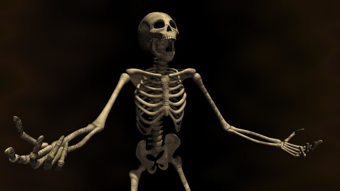 Кому принадлежит рекорд по переломам: 9 занимательных фактов о человеческом скелете человека, о скелете, факты, фактов, про скелет, кость, кости, костей, организма, в целом, интересные, которые, только, который, и скелете, о костях, каждый, пожалуй, рекорд, в мужском