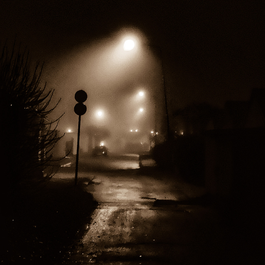 Foggy morning  by Pelle Westberg on 500px.com