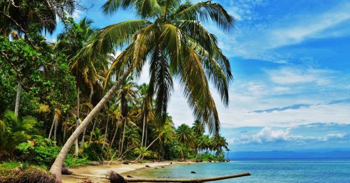 Участники реалити-шоу «Последний герой», которые ушли из жизни слишком рано Участники реалити-шоу «Последний герой», которые ушли из жизни слишком рано жизнь