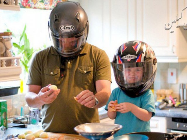 Приколы про лук Приколы про лук