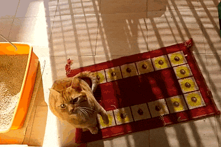 Веселые и прикольные гифки из сети Веселые и прикольные гифки из сети