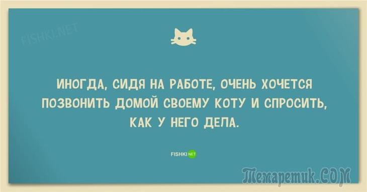 Миссионер несколько лет прожил в африканском племени.. анекдоты