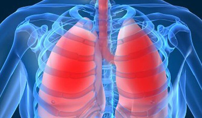 Как закалить свое тело, чтобы никогда не болеть