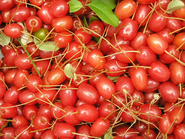 8 ягод России, которые вы, возможно, никогда не пробовали. И зря еда,здоровье,кулинария,лес,лесные ягоды,Россия,ягоды