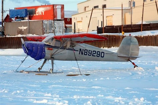 Занимательная Аляска Занимательная Аляска