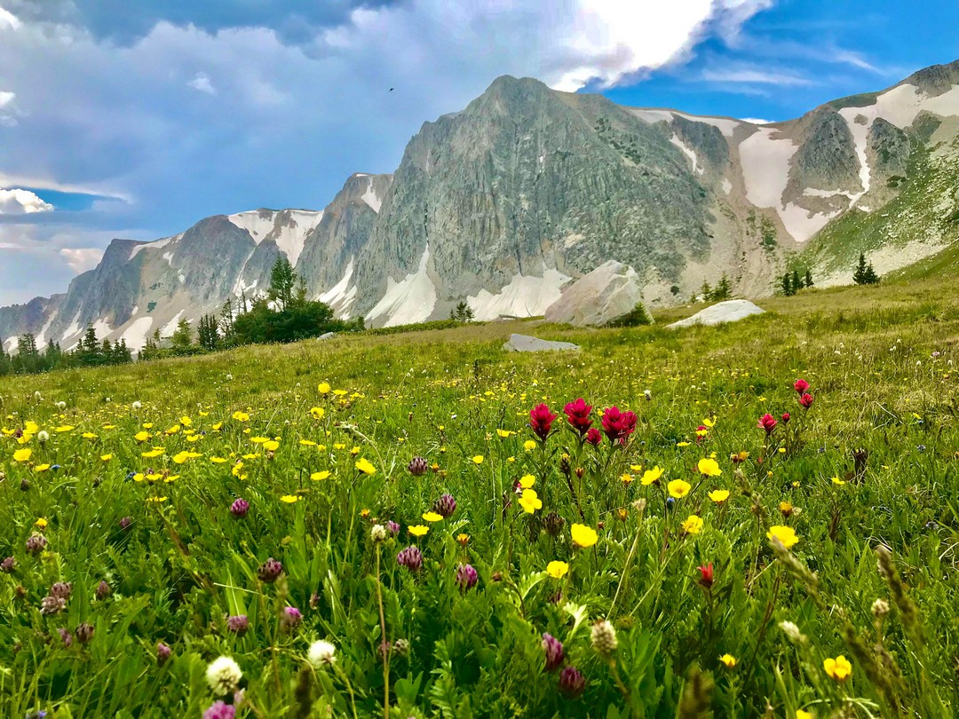 Красота природы на фотографиях