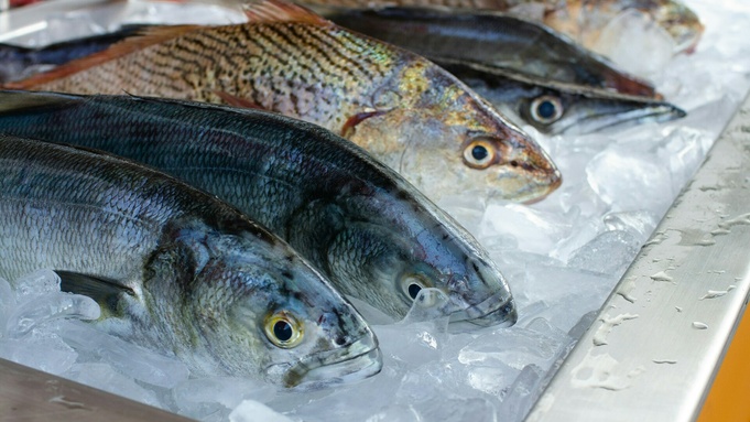 Жительница Барнаула лишилась денег при заказе рыбы по интернет-объявлению