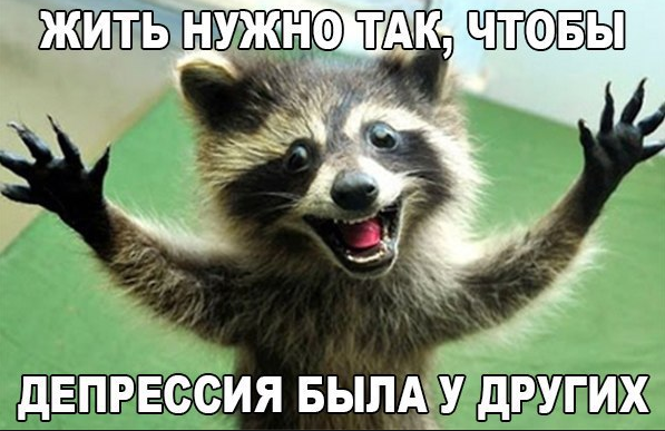 Новые забавные анекдоты