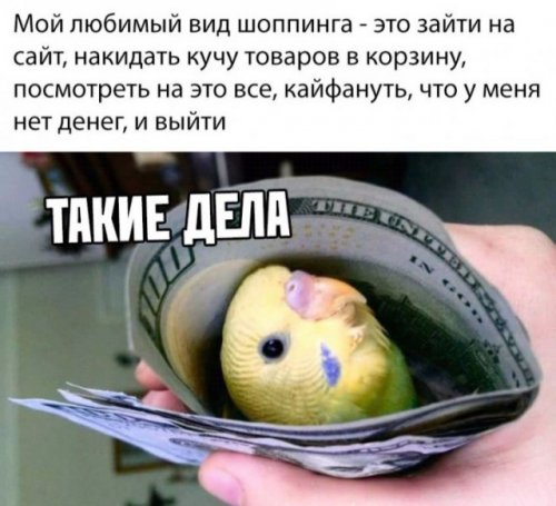 Свежие фото-приколы и картинки Свежие фото-приколы и картинки смешные картинки