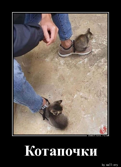 Демотиваторы на любой вкус: «А кому-то для полного счастья…» 