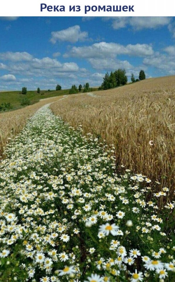 Прикольные фото и зачетные картинки из сети красивые фотографии,прикольные картинки,шикарные фотографии