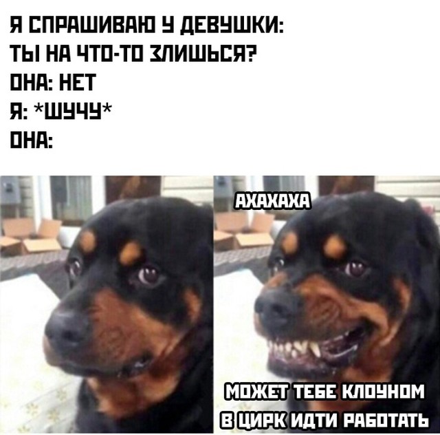 Подборка прикольных картинок. Вечерний выпуск Подборка прикольных картинок. Вечерний выпуск смешные картинки,фото-приколы,юмор