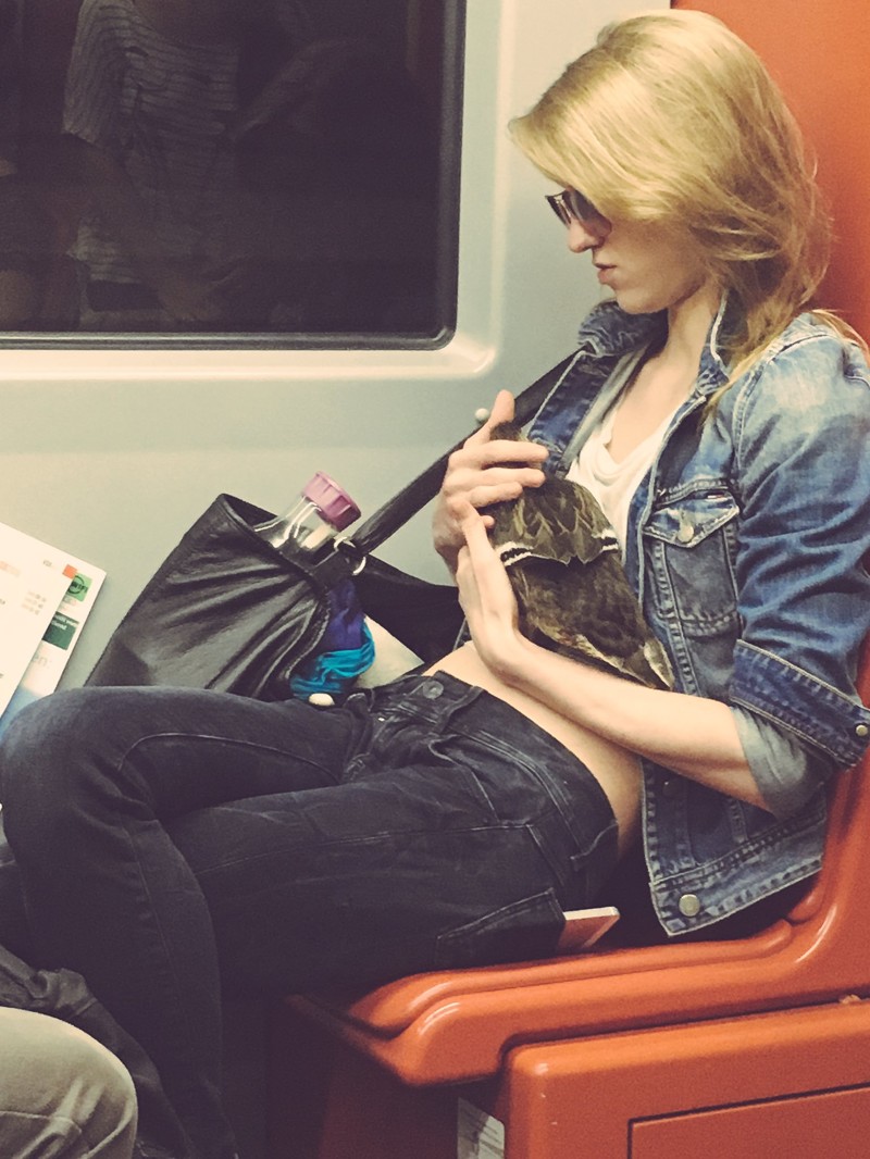 Девушка напротив меня ехала в метро с ручной уткой. Вы все еще думаете, что весело живете? действия, жизнь, люди, прикол, скучно живу