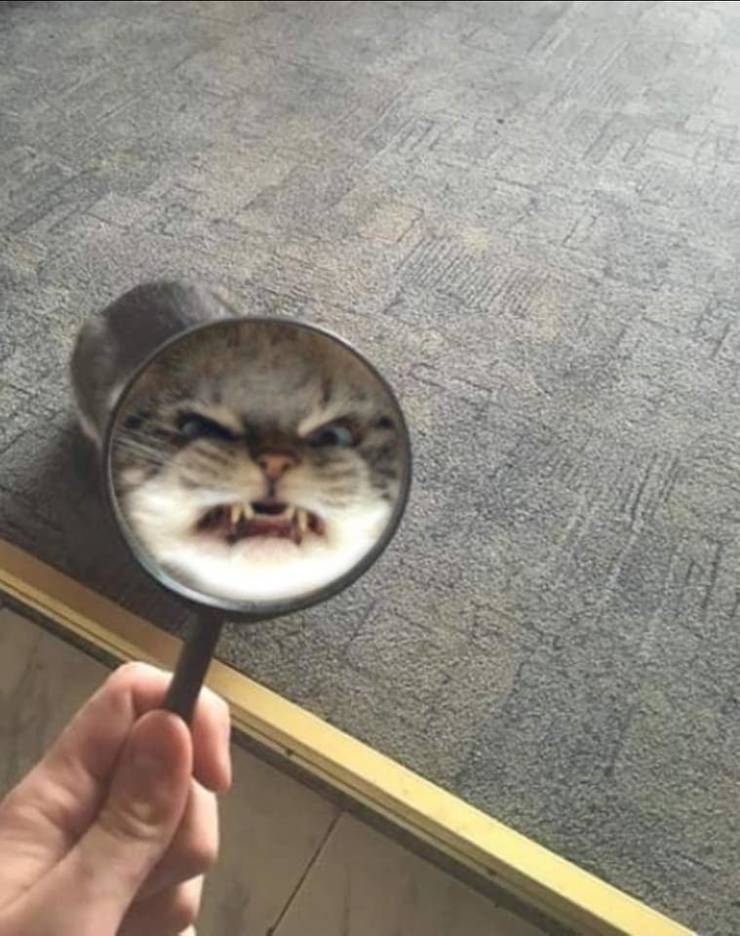 Подборка прикольных картинок  приколы,смешные картинки,юмор