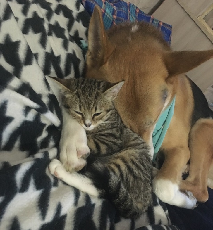 14 фотографий, которые могут заставить вас забыть о повседневных проблемах 14 фотографий, которые могут заставить вас забыть о повседневных проблемах позитив