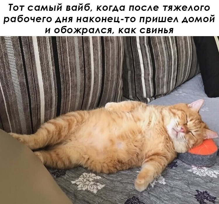 Юмор для тех, кто уже повзрослел и понял, что «приключение» — это когда выключили горячую воду 