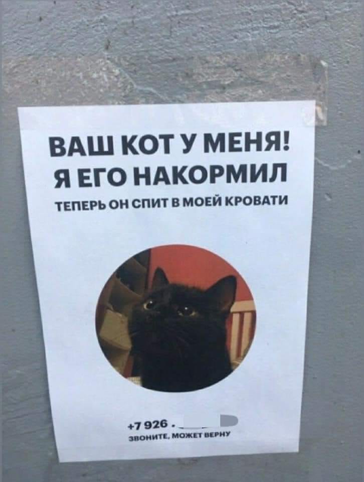 Юмор из интернета 608 позитив,смех,улыбки,юмор