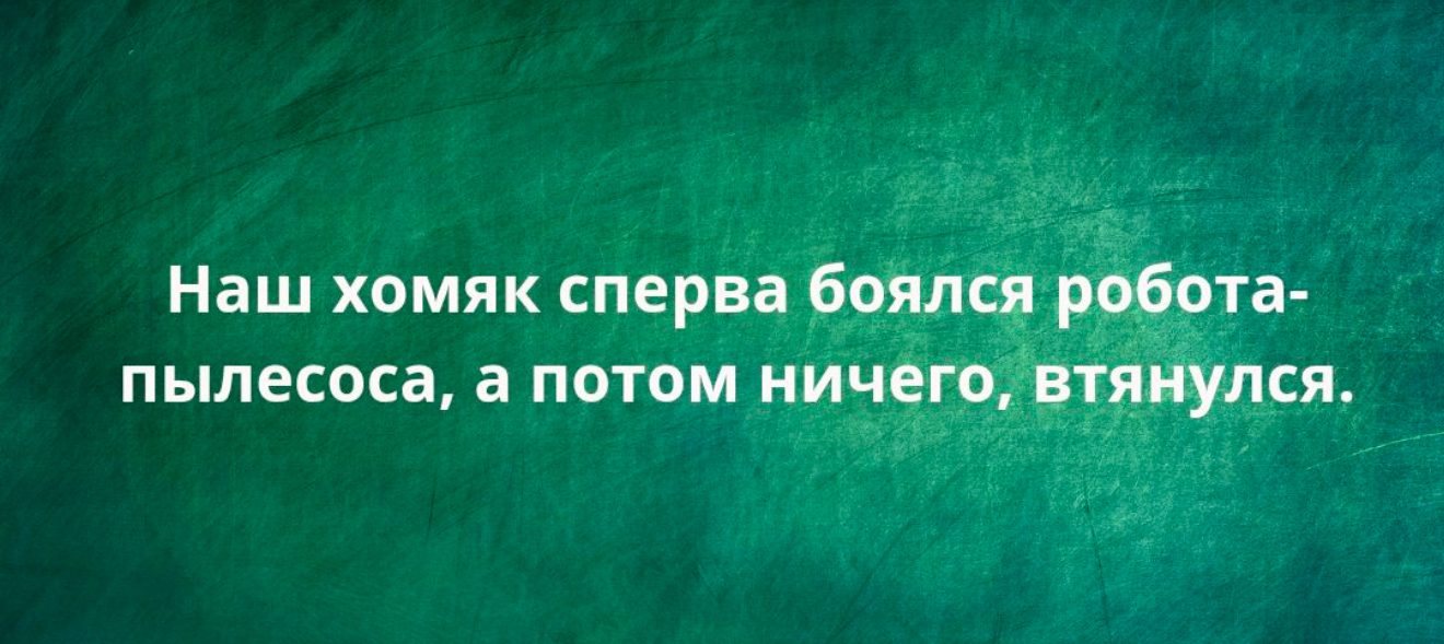 Ожидали похолодания, а всё взяло и подорожало... И правила на Новый год 