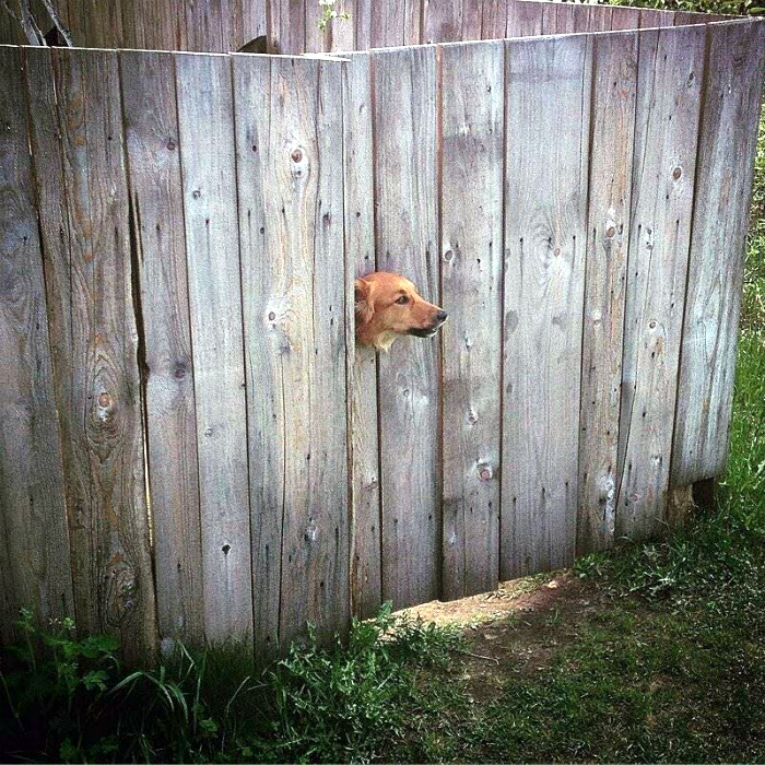 19 реальных фотографий, которые выглядят точно как ошибки видеоигры