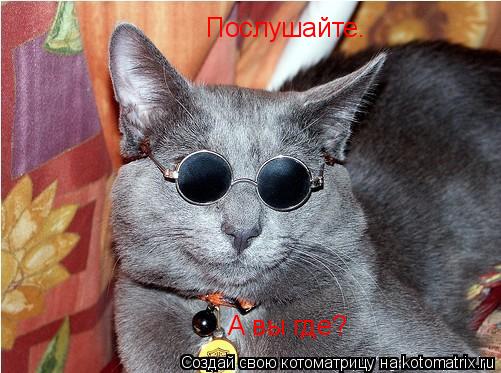 Уфф!!! Ну наконец-то! Котоматрицы великолепные, каждая с доброй улыбкой!!!