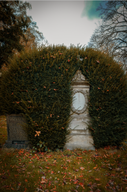 Frank Rammelmüller - Germany (Leica Q)