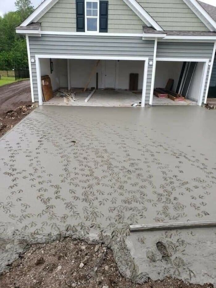 1. "Рабочие залили бетоном подъездную дорожку нового дом, который стоит рядом с прудом с утками. Они пошли на обед и увидели это, когда вернулись"