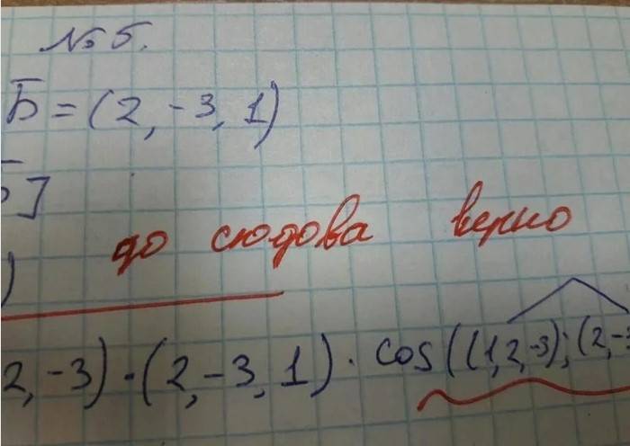 13 раз, когда школьные учителя оказались не такими грамотными, как должны быть