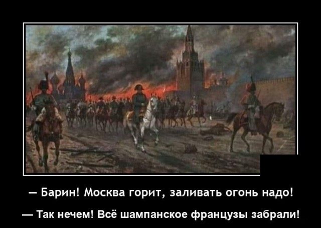 Смешные картинки в чёрной рамке для хорошего настроения! 