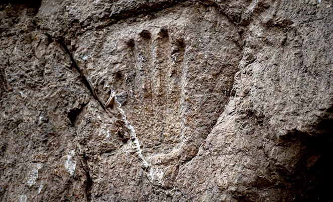 Под улицей нашли скрытый тоннель. Внутри отпечаток руки со слишком длинными пальцами возрастом 1000 лет Культура