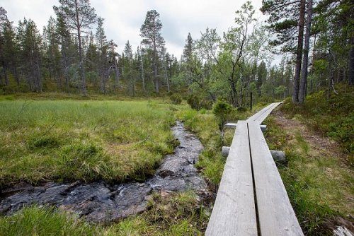 10 причин рвануть в Лапландию в 2020-м Лапландии, являются, поймать, чтобы, когда, сияние, которые, придется, земле, сможете, Лапландия, можете, Природа, будет, Лапландию, бесконечность, почувствовать, северное, воочию, заставит
