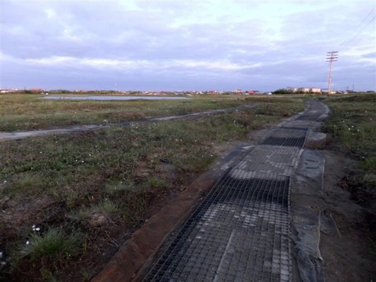 Занимательная Аляска Занимательная Аляска