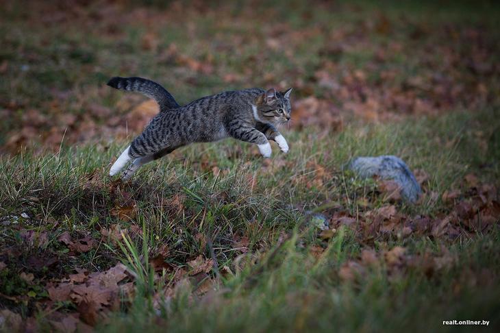 «Вложил сюда все свои сбережения». Как один человек возрождает деревню на Голубых озерах 