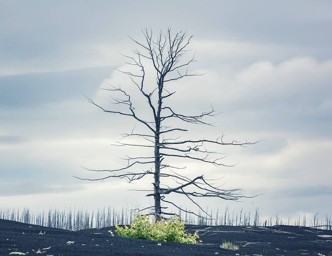 Как люди едут на Толбачик после извержения. Камчатка. Россия Как люди едут на Толбачик после извержения. Камчатка. Россия Война и мир