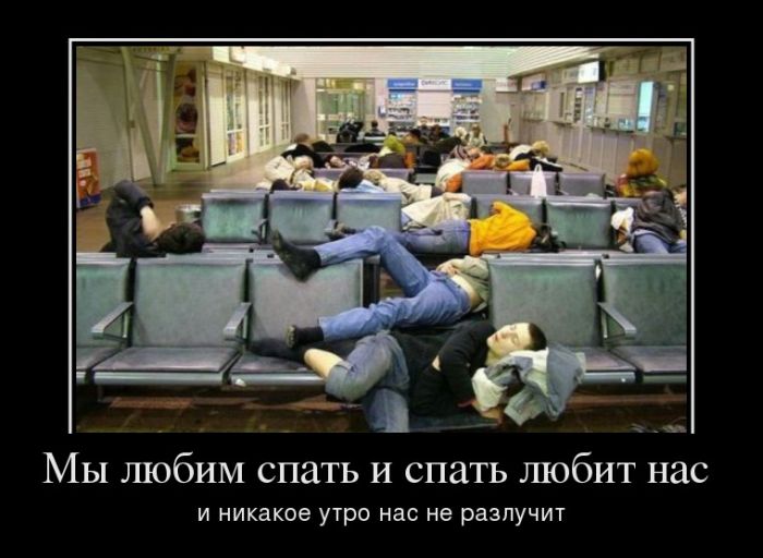 Мы любим спать