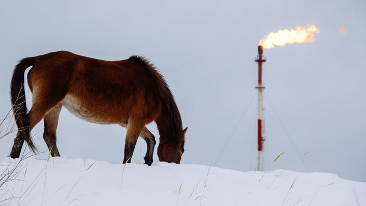 Силуанова спасёт только нефть