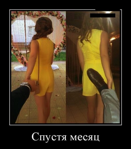 Демотиваторы (15 фото)